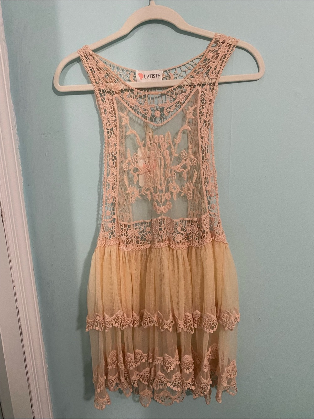 L'ATISTE Blush Lace & Cream Tulle women’s Party Dress